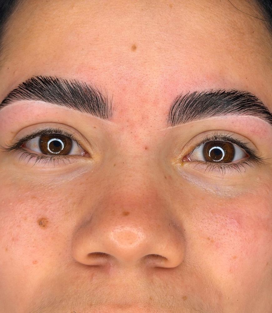 Laminated brows by Jany